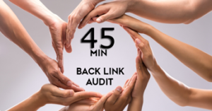 Do Your Backlink Audit in Just 45 Minutes!