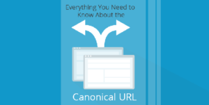 Everything You Need to Know About the Canonical URL