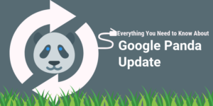Google-Panda-Update