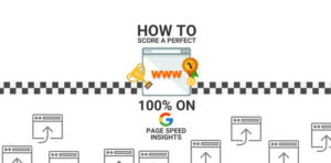 How-to-Score-a-Perfect-100-on-Google-PageSpeed-Insights