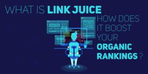 link-juice