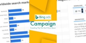 Bing Ads Campaign – Everything That You Don’t Know About
