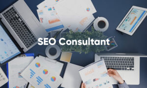 SEO-Consultant