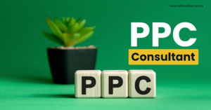 PPC Consultant
