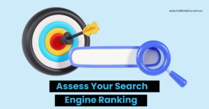 Assess Your Search Engine Ranking