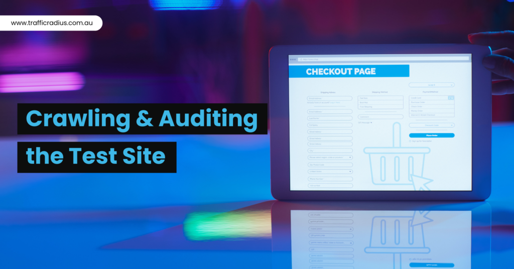 Crawling & Auditing the Test Site