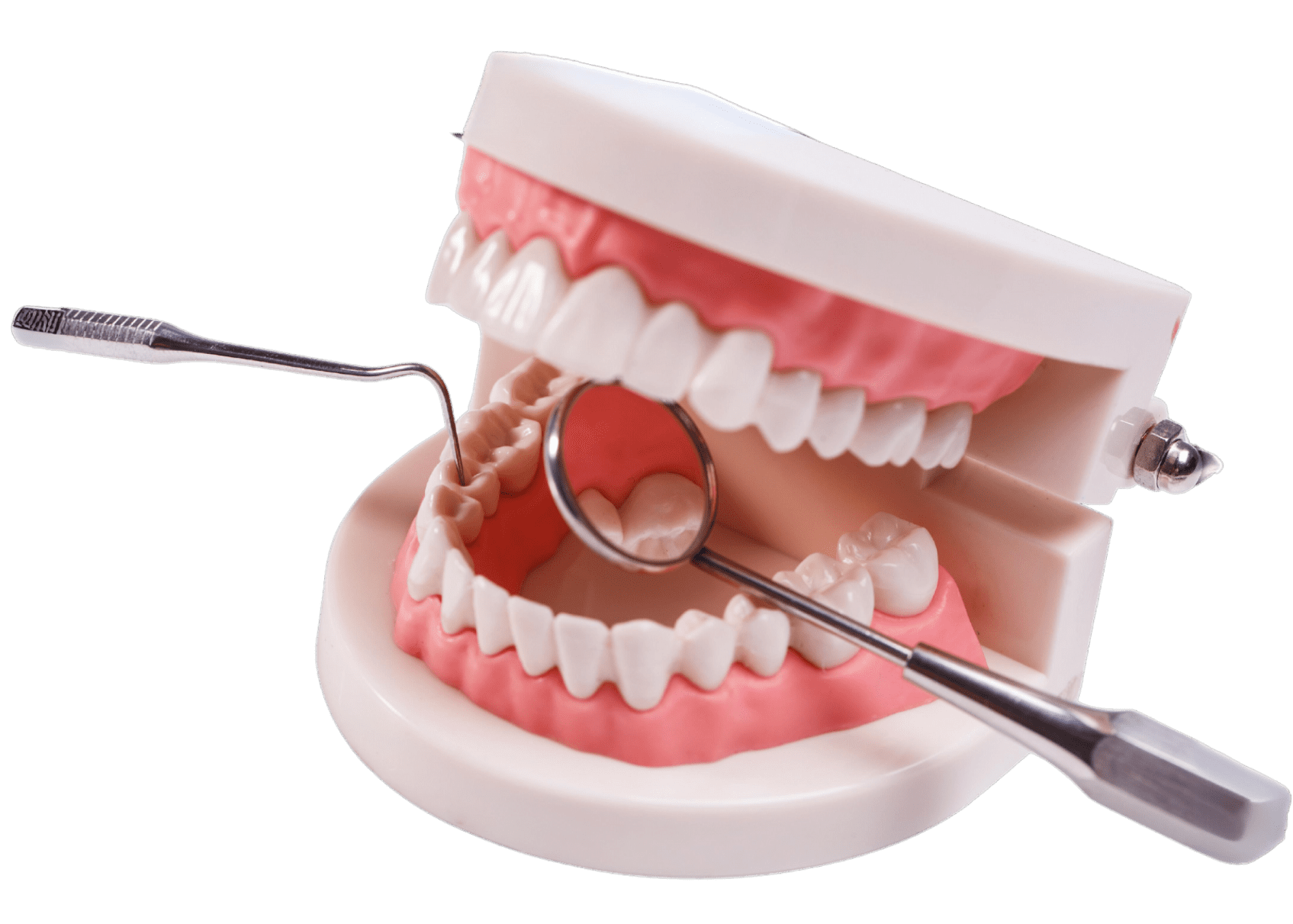 Why choose us main image