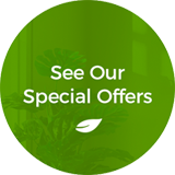 banner-special-offers