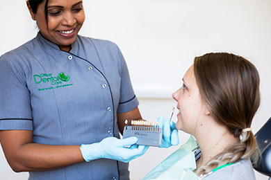 Root Canal Process