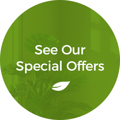 inner-banner-offer