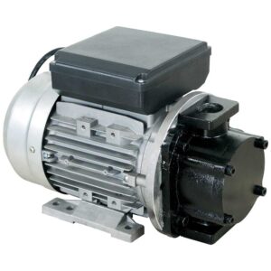 Electric Oil Pumps Motors